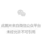 095510gw9bk4kr447e4kyy.png