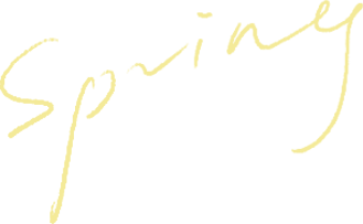 093717vslczcvhsot8a8ib.png