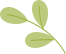 160033d5zf709g5vx075n7.png